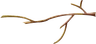 branch