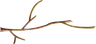branch